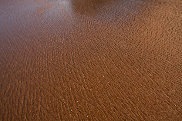 Abstract Texture Circle Drawn Dry Grass Sand — Stock Fotó