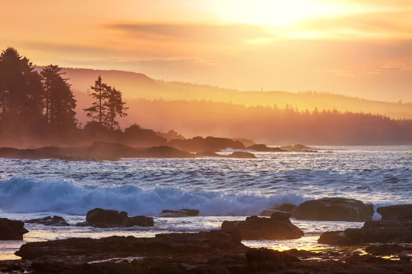 Krajina Ostrově Vancouver Při Západu Slunce Britská Kolumbie Kanada — Stock fotografie