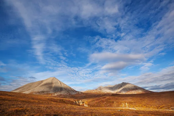 Tundra Landscapes Arctic Circle Autumn Season Beautiful Natural Background — Zdjęcie stockowe