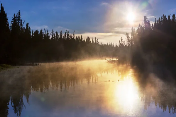 Sonnenaufgangsszene Schönen Ruhigen See Schöner Natürlicher Hintergrund — Stockfoto