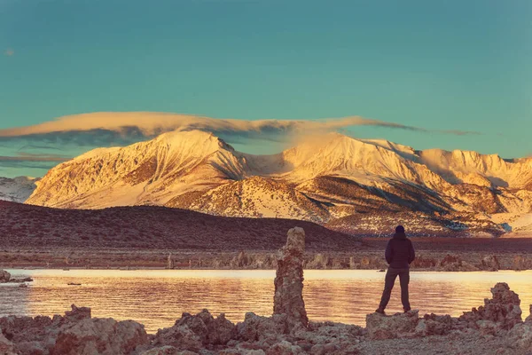 Güneş Doğarken Sıradışı Mono Gölü Oluşumlarında Turist — Stok fotoğraf