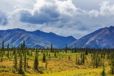 Beautiful high mountains in Alaska, United States. Amazing natural background.