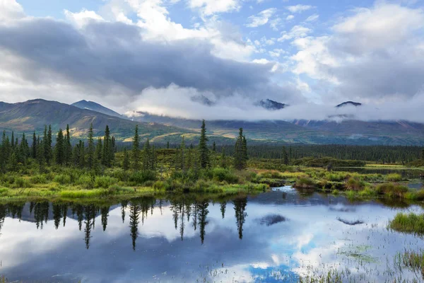 Lago Serenidad Tundra Alaska —  Fotos de Stock