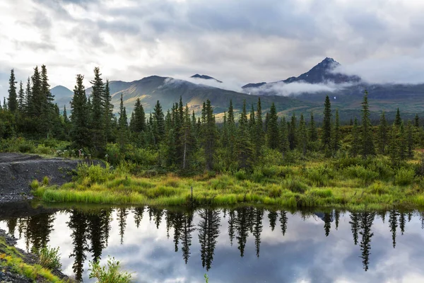 Lago Serenità Nella Tundra Alaska — Foto Stock