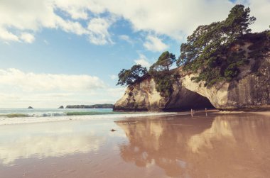 Ocean Beach, Yeni Zelanda 'da güzel manzaralar var. İlham verici doğal ve seyahat geçmişi