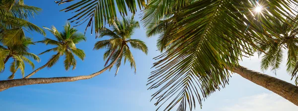 Прекрасні Літні Пейзажі Тропічному Пляжі Фон Відпустки — стокове фото