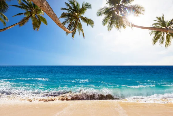 Красивые Летние Пейзажи Тропическом Пляже Отдых — стоковое фото