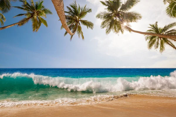 해변의 아름다운 휴가철 — 스톡 사진