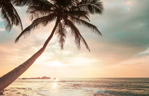 Fantastisk Tropisk Solnedgang Stranden – stockfoto