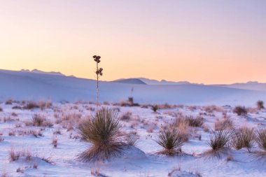 New Mexico, ABD 'deki White Sands Kumulları' ndaki alışılmadık doğal manzaralar.