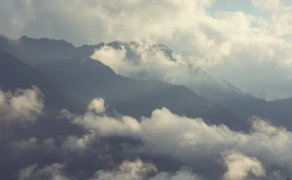 Yüksek Dağlarda Sis Var Güzel Doğal Manzaralar — Stok fotoğraf