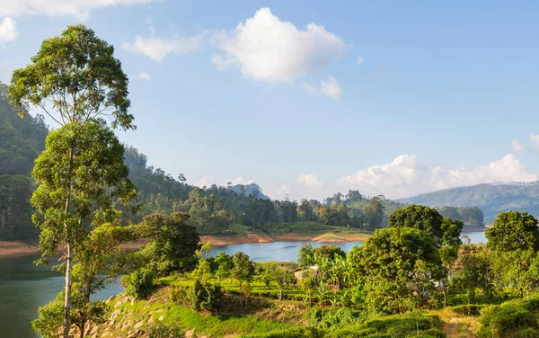 Prachtige Natuurlandschappen Sri Lanka — Stockfoto
