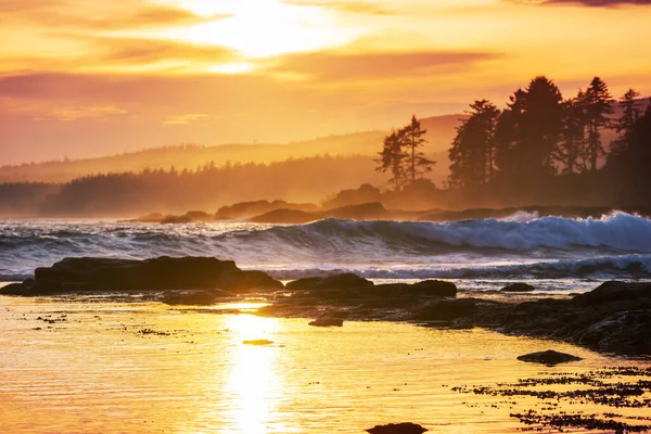 Piękna Plaża Zachodzie Słońca Wybrzeżu Oceanu — Zdjęcie stockowe