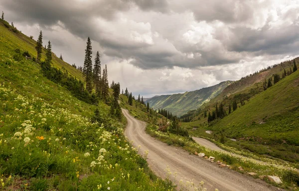 Dağlarda Manzaralı Bir Yol Seyahat Arkaplanı — Stok fotoğraf