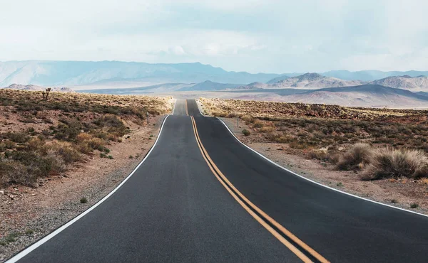 Camino Campo Pradera Fondo Viaje Natural Abandonado — Foto de Stock