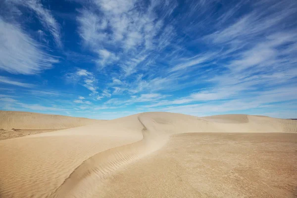 Незаймані Піщані Дюни Пустелі — стокове фото