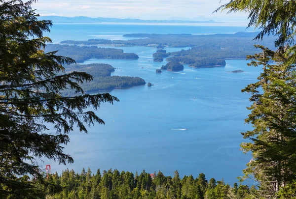 Vancouver Eiland Landschappen Bij Zonsondergang British Columbia Canada — Stockfoto