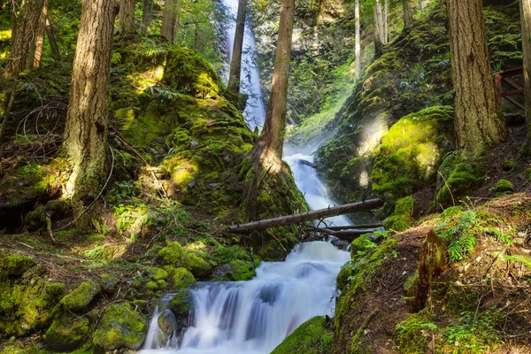 Prachtige Waterval Canadese Bergen — Stockfoto