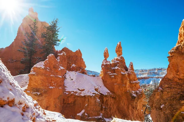 Viehättävä Värikäs Vaaleanpunainen Kiviä Bryce Canyon Kansallispuisto Talvikaudella Utah Usa — kuvapankkivalokuva