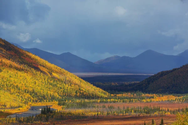 Tundra Landscapes Arctic Circle Autumn Season Beautiful Natural Background — Foto de Stock
