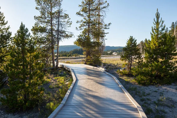 美国怀俄明州黄石公园地热区的木板人行道 — 图库照片