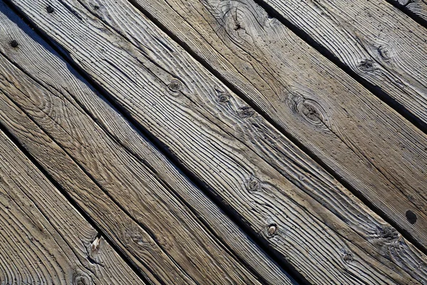 Brown Wood Texture Background Araucaria Cortex — Stock Photo, Image