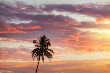 Okyanus sahilinde fantastik tropikal gün batımı