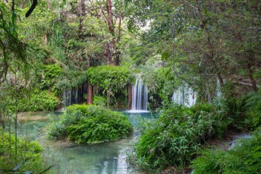 Ormanda güzel bir şelale, Meksika