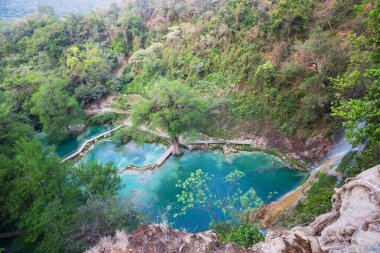 Ormanda güzel bir şelale, Meksika