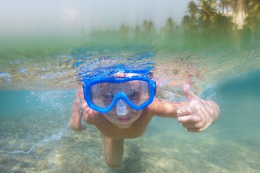 seyahatler ve tropikal arka plan