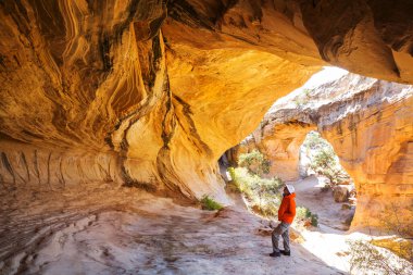 Vernal, Utah, ABD yakınlarındaki alışılmadık kaçak içki kemeri..