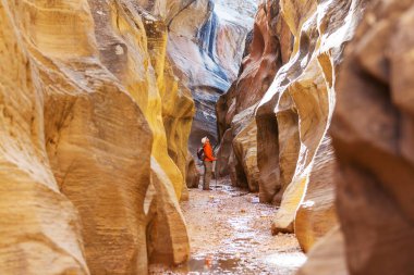 Utah, ABD 'deki Grand Staircase Escalante Ulusal Parkı' ndaki Slot Kanyonu. Utah çöllerinde alışılmadık renkli kumtaşı oluşumları yürüyüşçüler için popülerdir..