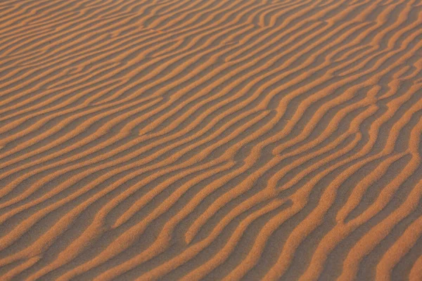 Abstract Texture Circle Drawn Dry Grass Sand — Stock Photo, Image