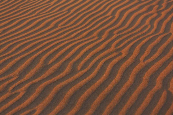Abstract Textuur Cirkel Getekend Met Droog Gras Het Zand — Stockfoto