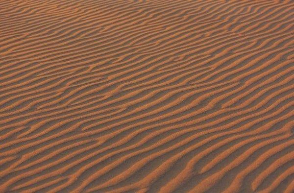 Kum Üzerinde Kuru Otlarla Çizilmiş Soyut Doku Çember — Stok fotoğraf