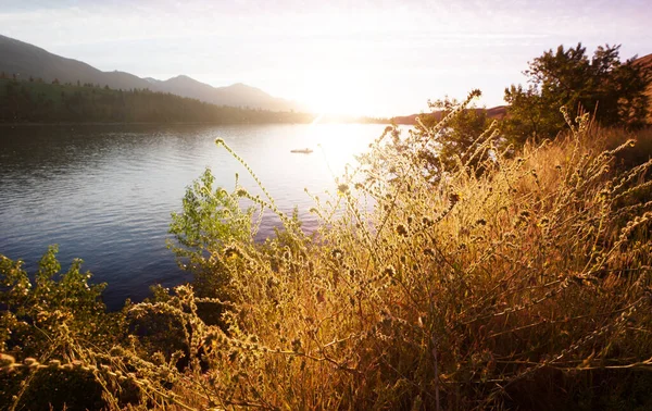 Orilla Del Lago Temporada Verano Amanecer —  Fotos de Stock