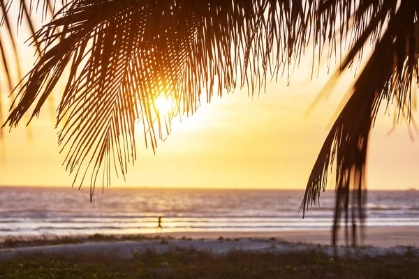 Fantastisk Tropisk Solnedgång Havet Stranden — Stockfoto