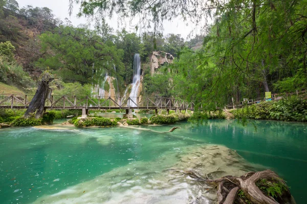 Hermosa Cascada Selva México —  Fotos de Stock