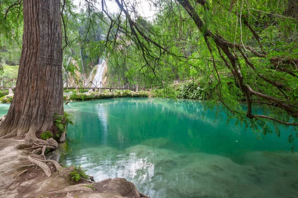 美丽的瀑布在丛林中 墨西哥 — 图库照片