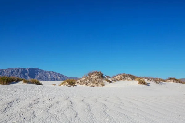 Ungewöhnliche Naturlandschaften Weißen Sanddünen Mexiko — Stockfoto