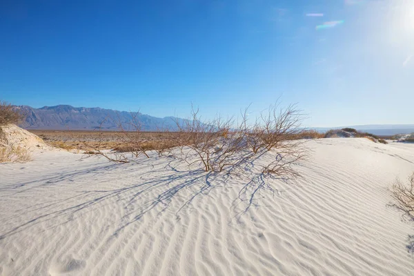 Paesaggi Naturali Insoliti Dune Sabbia Bianca Messico — Foto Stock