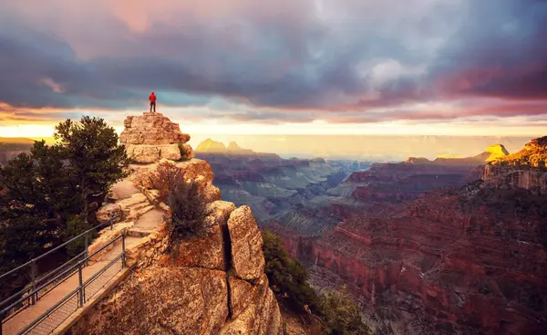 Voyageur Sur Des Montagnes Escarpées Dessus Parc National Grand Canyon — Photo