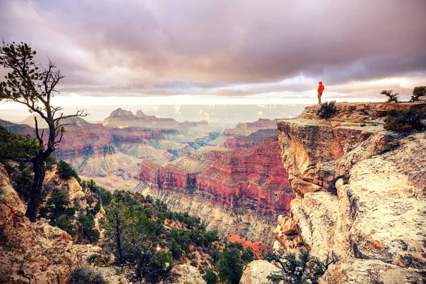 Podróżnik Klifie Nad Wielkim Kanionem Arizona Usa Inspirujące Emocje Podróże — Zdjęcie stockowe