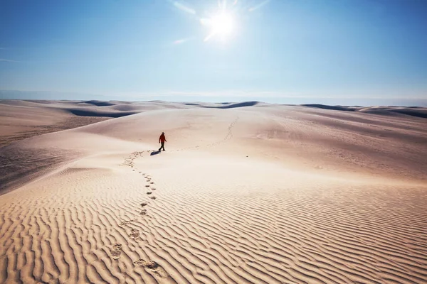 在沙漠的沙丘中远足 — 图库照片