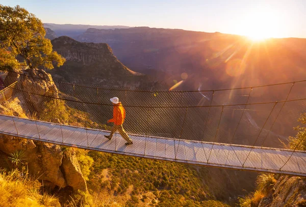 メキシコのバランス山脈の吊り橋の男 — ストック写真