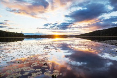 Sunset scene on the lake at sunset summer nature landscapes