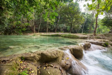 Ormanda güzel bir şelale, Meksika