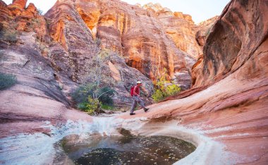 Utah dağlarında yürüyüş. Alışılmadık doğal manzaralarda yürüyüş. Fantastik kumtaşı oluşumları.