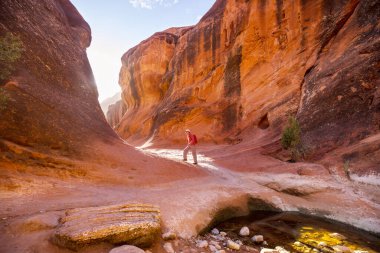 Utah dağlarında yürüyüş. Alışılmadık doğal manzaralarda yürüyüş. Fantastik kumtaşı oluşumları.