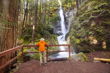 Kanada dağlarındaki güzel şelalenin yanında bir gezgin.